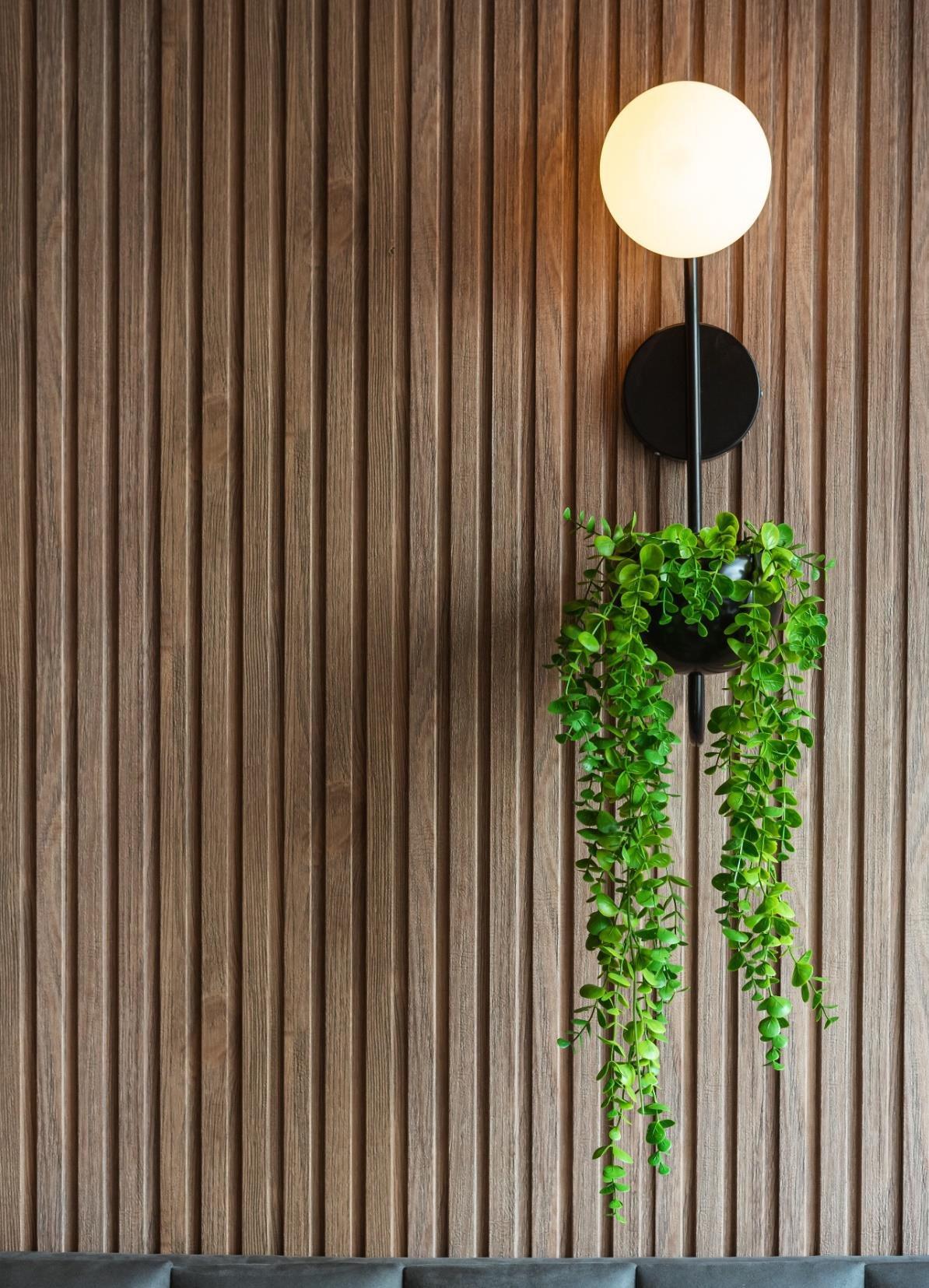 AMERICAN WALNUT-1