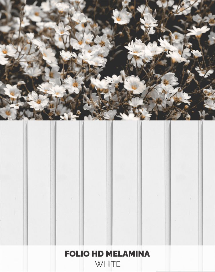 WHITE-1